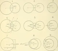 An illustration from The microscope; an introduction to microscopic methods and to histology (1901)