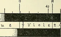 Picture 76 of 151 from The microscope; an introduction to microscopic methods and to histology (1901), leaf 153