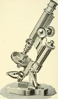 Picture 80 of 151 from The microscope; an introduction to microscopic methods and to histology (1901), leaf 175