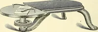 An illustration from The microscope; an introduction to microscopic methods and to histology (1901)
