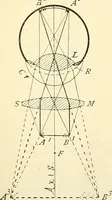 Picture 7 of 151 from The microscope; an introduction to microscopic methods and to histology (1901), leaf 19