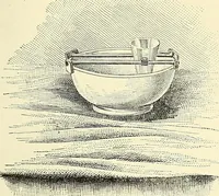 Picture 90 of 151 from The microscope; an introduction to microscopic methods and to histology (1901), leaf 196