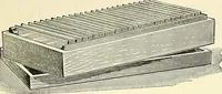 An illustration from The microscope; an introduction to microscopic methods and to histology (1901)