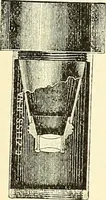 Picture 110 of 151 from The microscope; an introduction to microscopic methods and to histology (1901), leaf 229