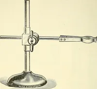 An illustration from The microscope; an introduction to microscopic methods and to histology (1901)