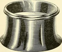 Picture 117 of 151 from The microscope; an introduction to microscopic methods and to histology (1901), leaf 243