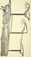 Picture 121 of 151 from The microscope; an introduction to microscopic methods and to histology (1901), leaf 253