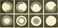 Picture 131 of 151 from The microscope; an introduction to microscopic methods and to histology (1901), leaf 272