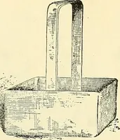 Picture 147 of 151 from The microscope; an introduction to microscopic methods and to histology (1901), leaf 296