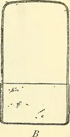 Picture 148 of 151 from The microscope; an introduction to microscopic methods and to histology (1901), leaf 296