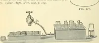 An illustration from The microscope; an introduction to microscopic methods and to histology (1901)