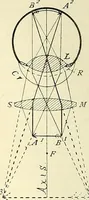 Picture 22 of 151 from The microscope; an introduction to microscopic methods and to histology (1901), leaf 47