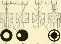 An illustration from The microscope; an introduction to microscopic methods and to histology (1901)