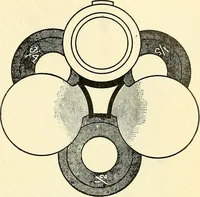 Picture 37 of 151 from The microscope; an introduction to microscopic methods and to histology (1901), leaf 86