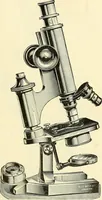 Picture 41 of 151 from The microscope; an introduction to microscopic methods and to histology (1901), leaf 90