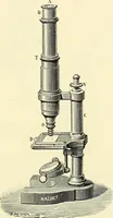 An illustration from The microscope; an introduction to microscopic methods and to histology (1901)