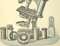 Picture 49 of 151 from The microscope; an introduction to microscopic methods and to histology (1901), leaf 97