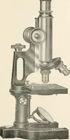 An illustration from The microscope : an introduction to microscopic methods and to histology (1911)