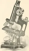 An illustration from The microscope : an introduction to microscopic methods and to histology (1911)