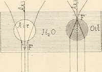 An illustration from The microscope : an introduction to microscopic methods and to histology (1911)