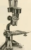 An illustration from The microscope : an introduction to microscopic methods and to histology (1911)