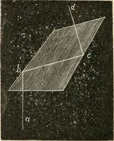 An illustration from The microscope : an introduction to microscopic methods and to histology (1911)