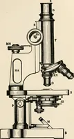 An illustration from The microscope : an introduction to microscopic methods and to histology (1911)