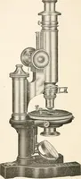 An illustration from The microscope : an introduction to microscopic methods and to histology (1911)