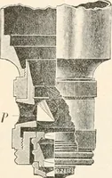 An illustration from The microscope : an introduction to microscopic methods and to histology (1911)