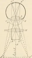 An illustration from The microscope : an introduction to microscopic methods and to histology (1911)