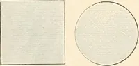 An illustration from The microscope : an introduction to microscopic methods and to histology (1911)