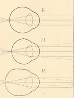 An illustration from The microscope : an introduction to microscopic methods and to histology (1911)