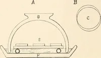 An illustration from The microscope : an introduction to microscopic methods and to histology (1911)