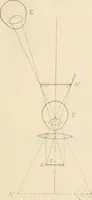 An illustration from The microscope : an introduction to microscopic methods and to histology (1911)