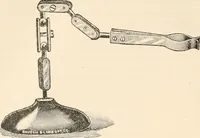 An illustration from The microscope : an introduction to microscopic methods and to histology (1911)