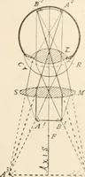 An illustration from The microscope : an introduction to microscopic methods and to histology (1911)