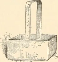 An illustration from The microscope : an introduction to microscopic methods and to histology (1911)
