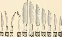 An illustration from The microscope : an introduction to microscopic methods and to histology (1911)