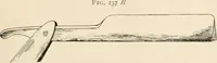 An illustration from The microscope : an introduction to microscopic methods and to histology (1911)