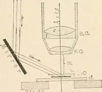 An illustration from The microscope : an introduction to microscopic methods and to histology (1911)