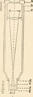 An illustration from The microscope : an introduction to microscopic methods and to histology (1911)