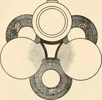 An illustration from The microscope : an introduction to microscopic methods and to histology (1911)