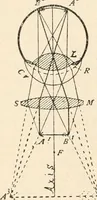 An illustration from The microscope : an introduction to microscopic methods and to histology (1911)