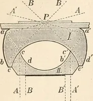 An illustration from The microscope : an introduction to microscopic methods and to histology (1911)
