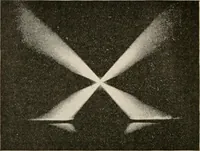 An illustration from The microscope : an introduction to microscopic methods and to histology (1911)