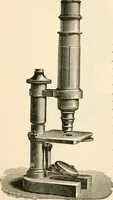 An illustration from The microscope; an introduction to microscopic methods and to histology (1899)