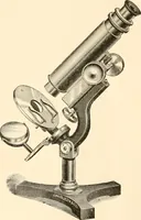 An illustration from The microscope; an introduction to microscopic methods and to histology (1899)