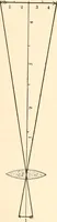 An illustration from The microscope; an introduction to microscopic methods and to histology (1899)
