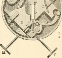 An illustration from The microscope; an introduction to microscopic methods and to histology (1899)