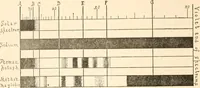An illustration from The microscope; an introduction to microscopic methods and to histology (1899)